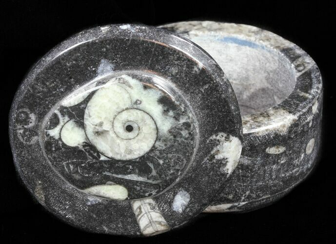 Small Fossil Goniatite Jar (Black) - Stoneware #60096